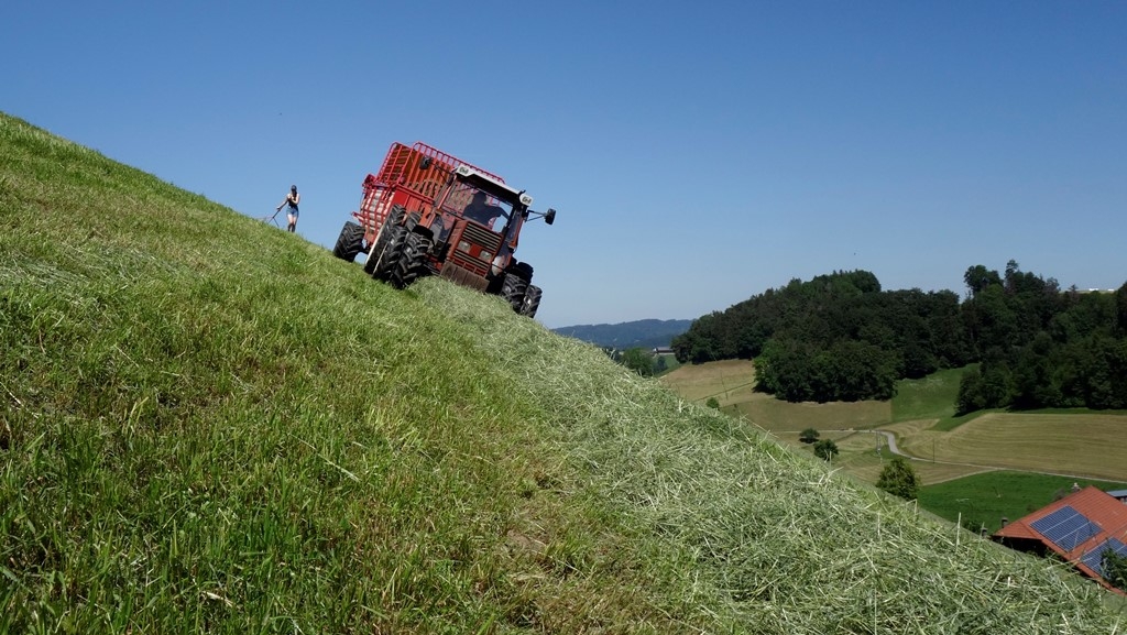 Emd einbringen